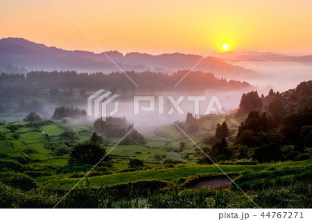 星峠の棚田 (朝景) 星峠の棚田 (朝景) 44767271