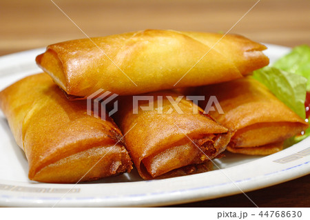 おいしい春巻 おいしい春巻 44768630