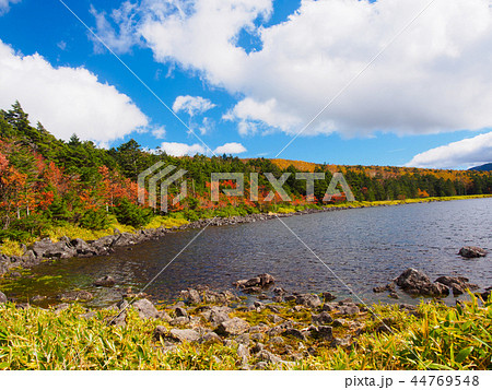 黄葉の双子池 黄葉の双子池 44769548