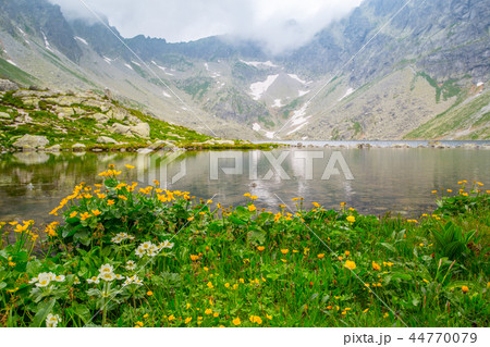 Hincovo pleso in fog at sunrise. High Tatras Slovakia 44770079