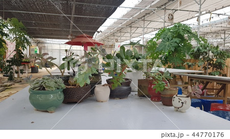 植木鉢 鉢 小物 44770176