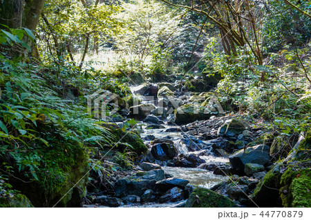 山間の谷川 44770879