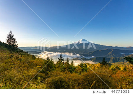 紅葉・富士山・新道峠の朝 44771031