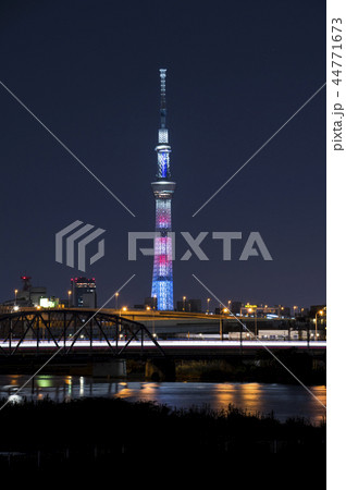 夜のスカイツリー 夜のスカイツリー 44771673