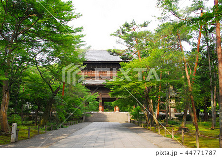 南禅寺・三門(天下竜門)の青紅葉 44771787