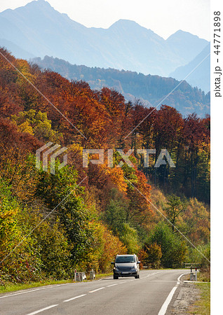 Car in the forest at Transfagarasan road 44771898