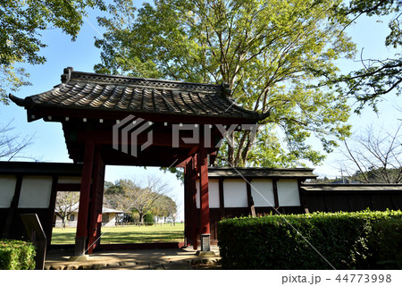 逆井城跡公園 44773998