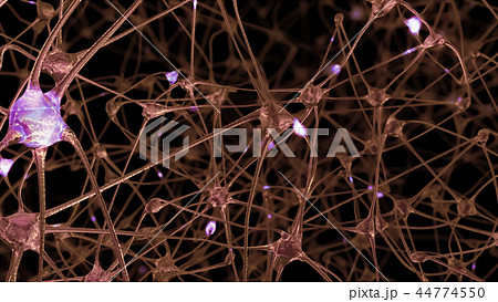 3D rendering of a network of neuron cells 44774550