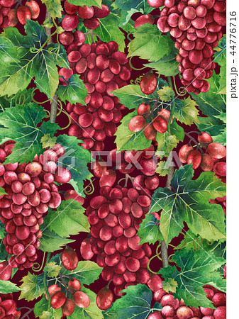 Watercolor pattern of redgrapes bunches Watercolor pattern of redgrapes bunches 44776716