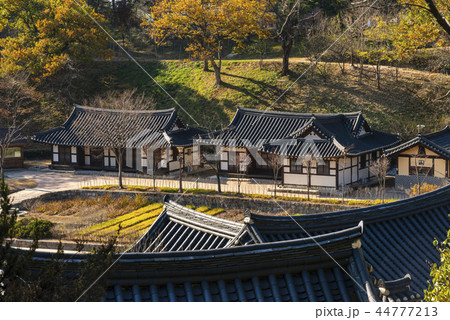 江陵市 古建築 韓屋 44777213