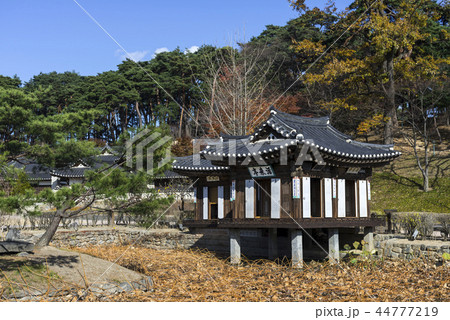 韓屋 蓮 秋 44777219