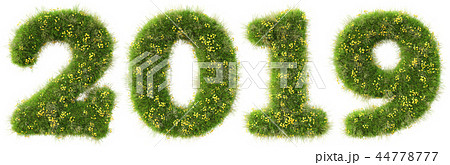 new 2019 year from the green grass. isolated on white. 3D illustration. new 2019 year from the green grass. isolated on white. 3D illustration. 44778777