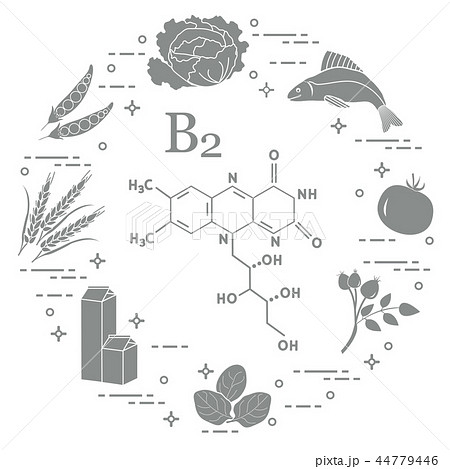 Foods rich in vitamin B2 Fish, peas and other. 44779446