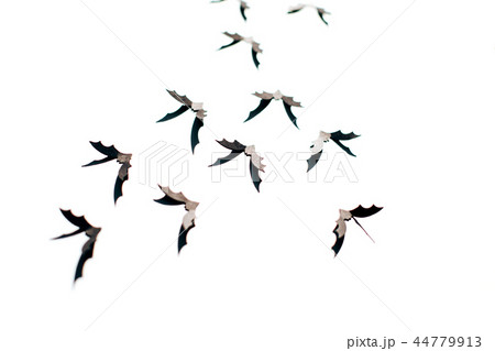 Halloween confetti with bats and boo 44779913