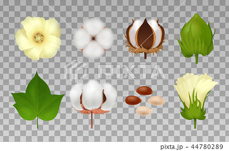 Cotton Realistic Transparent Icon Setのイラスト素材