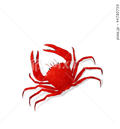 Watercolor crab 44780759