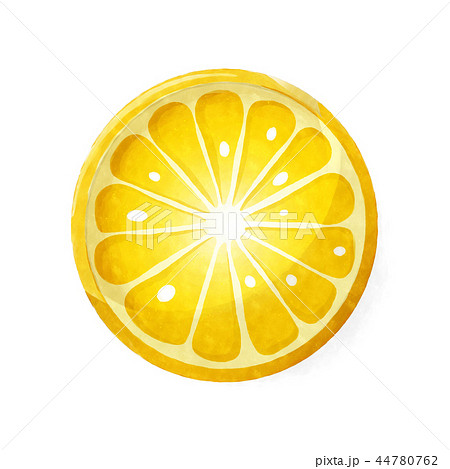 Watercolor citrus 44780762