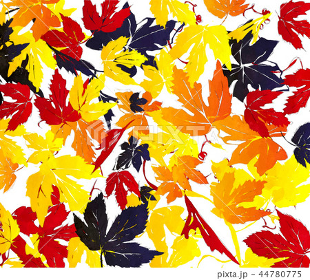Watercolor autumn leaves 44780775