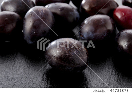 プルーン  44781373