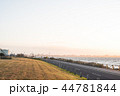 海 44781844