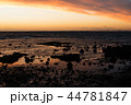 夕焼けのビーチ 44781847