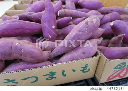 さつまいも 44782184