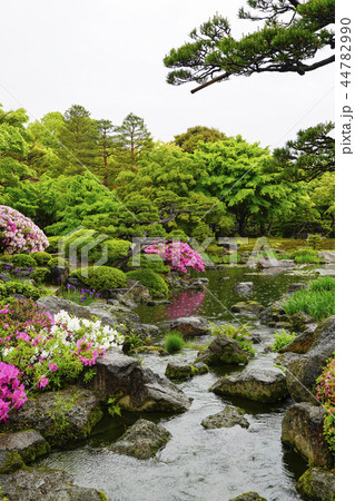 雨の由志園の写真素材