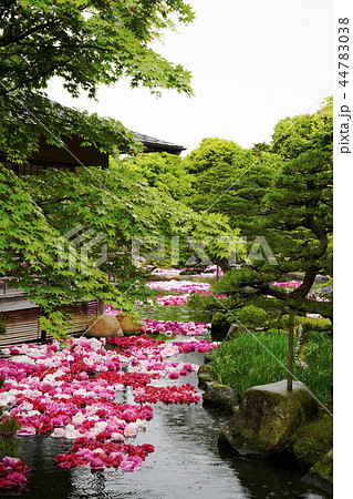 由志園　池泉牡丹 44783038