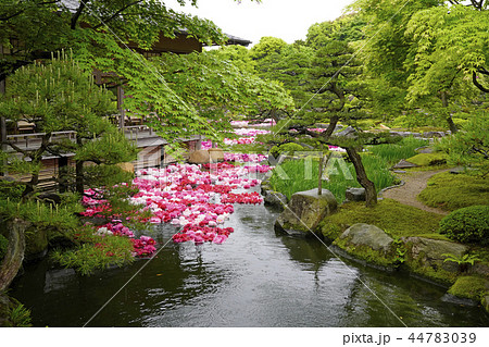 由志園 池泉牡丹 由志園 池泉牡丹 44783039