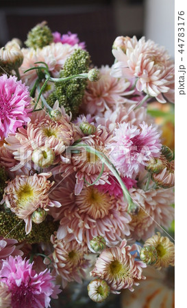 菊 矢車草の花束 和モダン カリフォルニア California grown flowers 菊 矢車草の花束 和モダン カリフォルニア California grown flowers 44783176