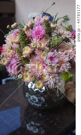 菊 矢車草の花束 和モダン カリフォルニア California grown flowers 菊 矢車草の花束 和モダン カリフォルニア California grown flowers 44783177