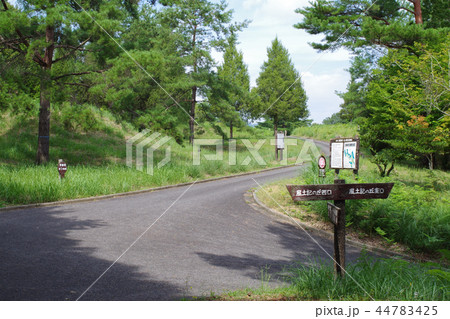 古墳群の丘の分かれ道 古墳群の丘の分かれ道 44783425