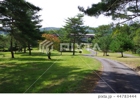 風土記の丘の公園と散策道 風土記の丘の公園と散策道 44783444