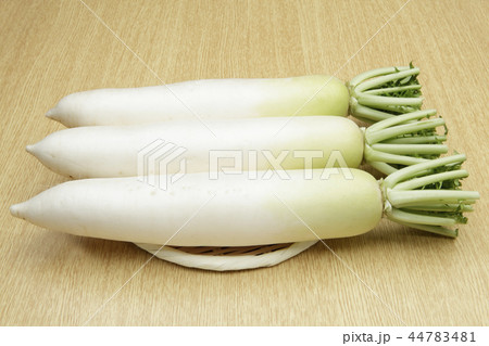 国産大根 国産大根 44783481