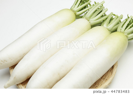 国産大根 44783483