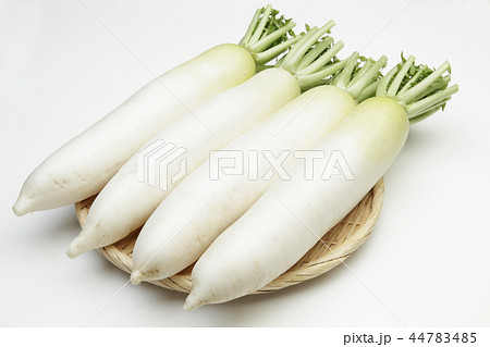 国産大根 44783485