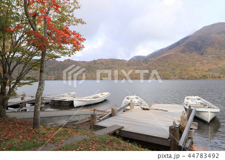 大沼（紅葉） 44783492