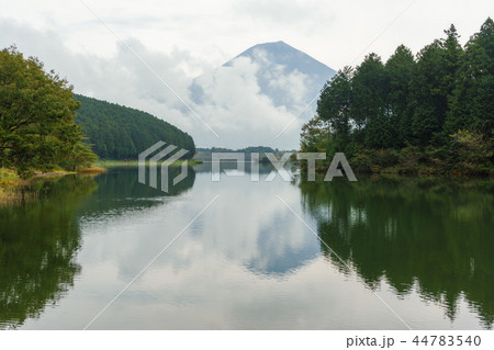 雨上がりの田貫湖と富士山 雨上がりの田貫湖と富士山 44783540