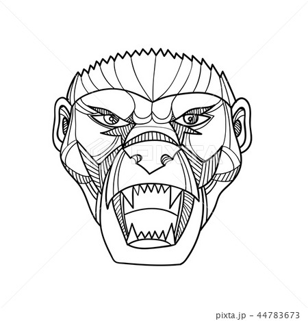 Honey Badger Head Monoline 44783673