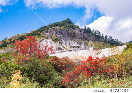 (群馬県)秋の万座温泉 万座スキー場 (群馬県)秋の万座温泉 万座スキー場 44784197