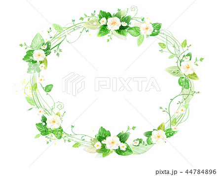 イラスト 自然 花冠のイラスト素材 44784896 Pixta