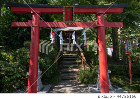 世良田東照宮 開運稲荷社 境内 群馬県太田市 世良田東照宮 開運稲荷社 境内 群馬県太田市 44786166