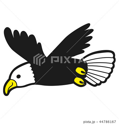 鳥のイラスト 大きな翼で羽ばたいている鷲 のイラスト素材 44786167