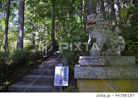 山梨県山中湖村 【石割神社】 階段下の狛犬 44786197