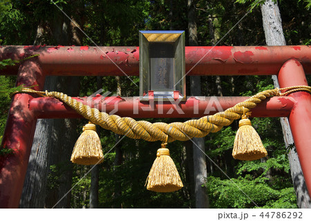 山梨県山中湖村 【石割神社】 大鳥居 44786292