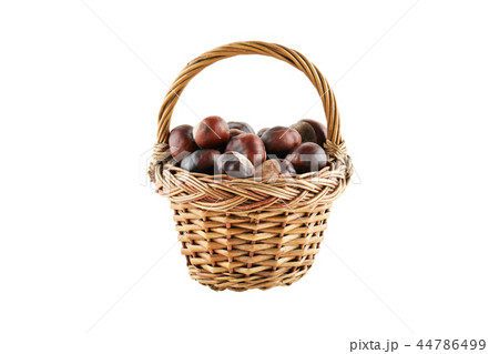 Many chestnuts in crib isolated Many chestnuts in crib isolated 44786499