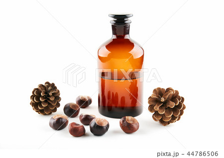 Vial with medicine, fir cone and chestnuts Vial with medicine, fir cone and chestnuts 44786506