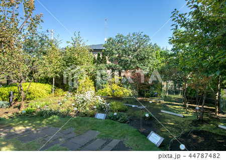 ねむの木の庭 44787482
