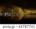 湖に反射する紅葉 44787741