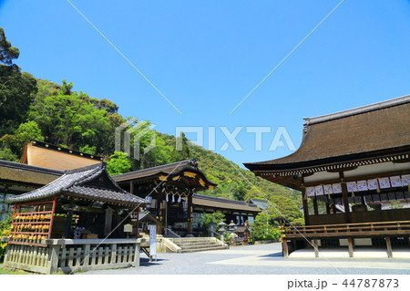 松尾大社 44787873
